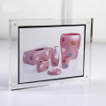 Wholesale Clear Plexiglass Picture Block Holder Acrylic Magnetic Photo Frame